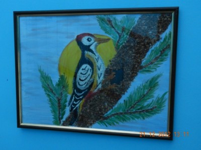 �����������