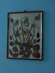 �����������